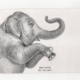 Elephant Ink Drawings for The Raffles Hotel Le Royall